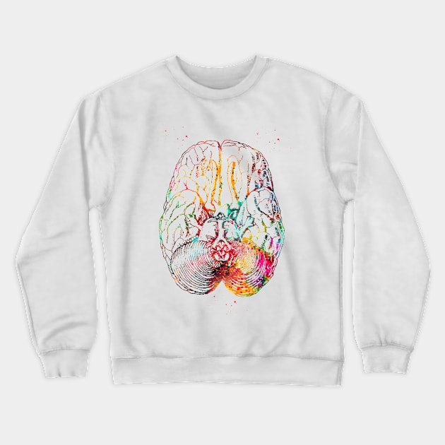 Human brain section Crewneck Sweatshirt by erzebeth